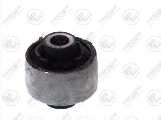 FZ9634 Fortune Line