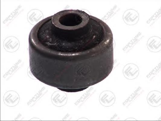 FZ9617 Fortune Line
