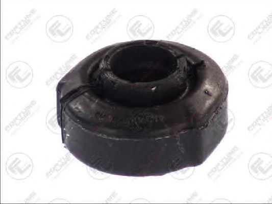 FZ9376 Fortune Line