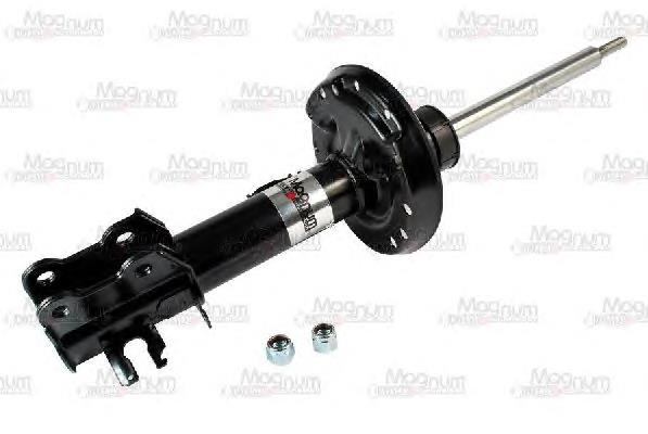 RS315873 Raiso Amortyzator przedni prawy