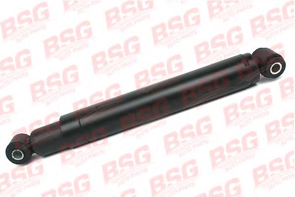 BSG60300006 BSG