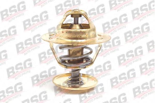 6129739 Ford Termostat