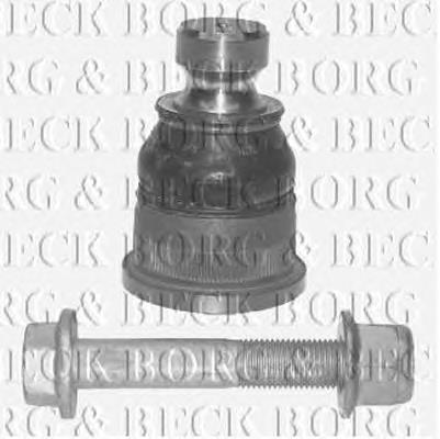  Reinhoch RH032022