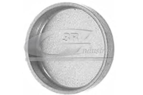 Zaślepka głowicy cylindrów/bloku cylindrów 02508 Metalcaucho