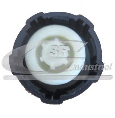 Do koszyka 81601 3RG Pokrywa (korek) zbiornika wyrównawczego