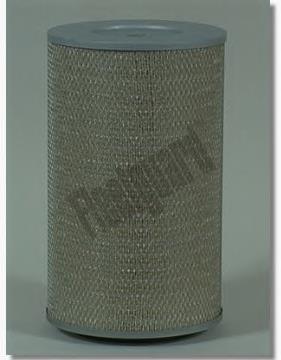AF25065 Fleetguard Filtr powietrza
