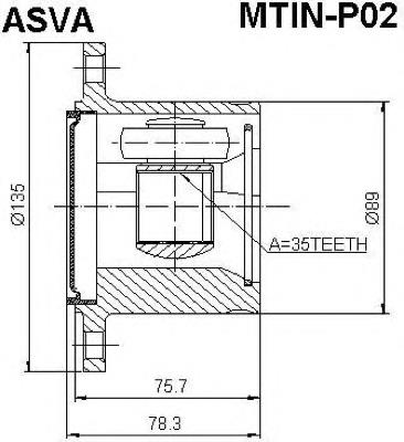 MTINP02 Asva