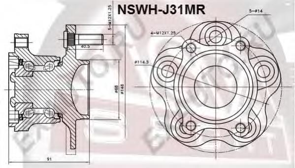 NSWHJ31MR Asva