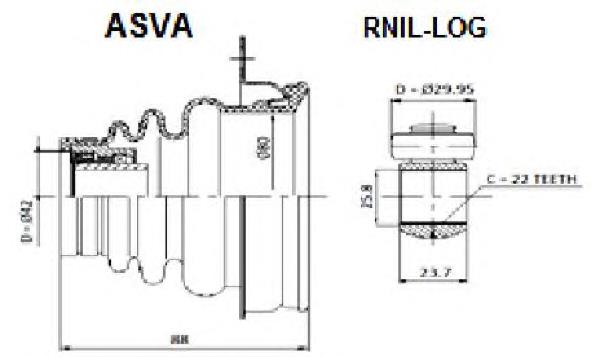 RNILLOG Asva