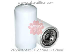 C7954 Sakura