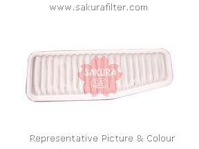 A1194 Sakura