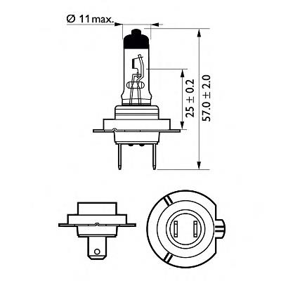 Do koszyka 12972PRC1 Philips Żarówka halogenowa