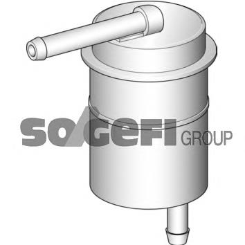 G6438 Fram
