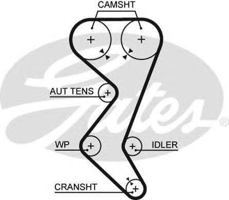 5528XS Gates pasek rozrządu