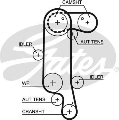 Pasek rozrządu Volkswagen Lupo (6X, 6E)