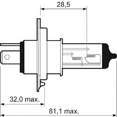 262948990D Nissan/Infiniti Żarówka halogenowa