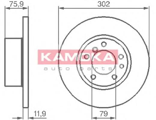 Tarcza hamulcowa przednia 424996 Peugeot/Citroen