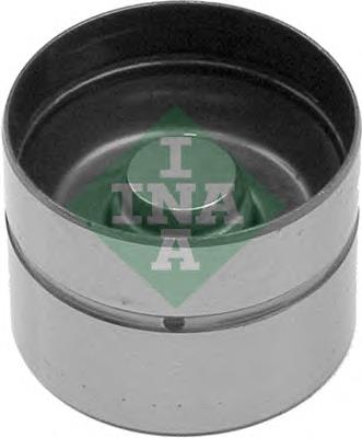 420010110 INA