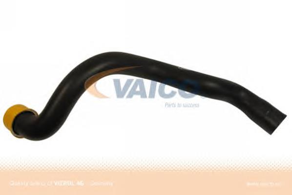 Przewód (króciec) chłodnicy górny Mercedes 2115010782 cena, od 33,09 USD