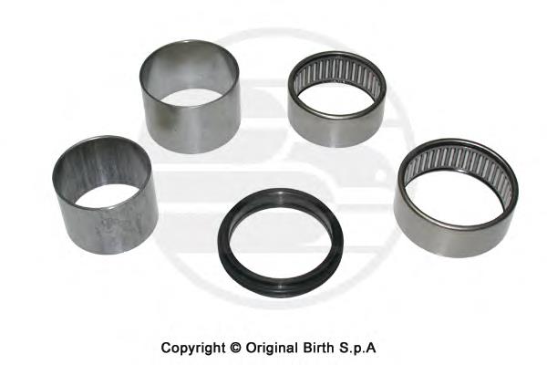 Do koszyka VKDA27010 SKF Silentblock tylnej belki