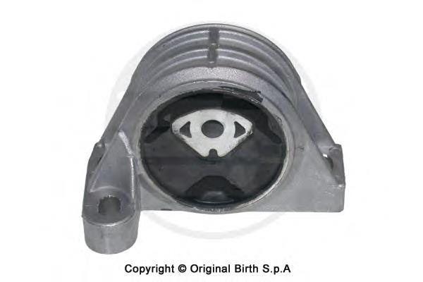 50862 Birth