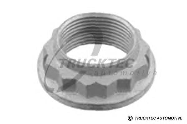 Nakrętka piasty tylnej 0832053 Trucktec