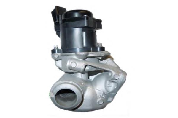 Do koszyka 1618PF Peugeot/Citroen Zawór recyrkulacji spalin EGR