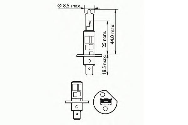 202631 SCT