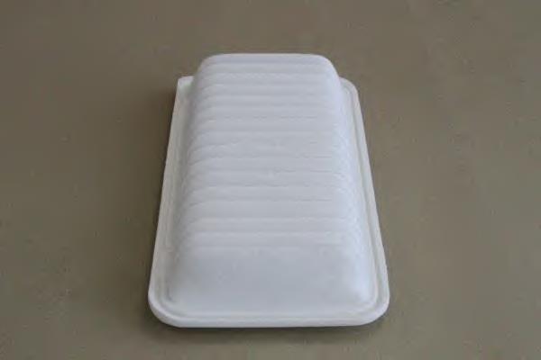 Filtr powietrza BYD F31109132