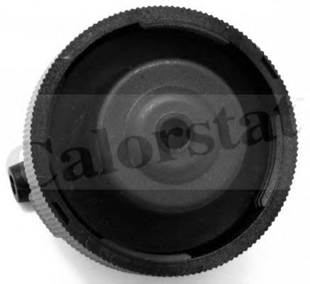 Pokrywa (korek) zbiornika wyrównawczego Iveco 99489567 cena, od 7,16 USD