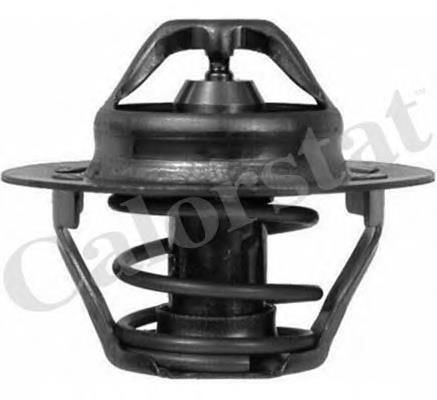 Termostat TH604589J Vernet