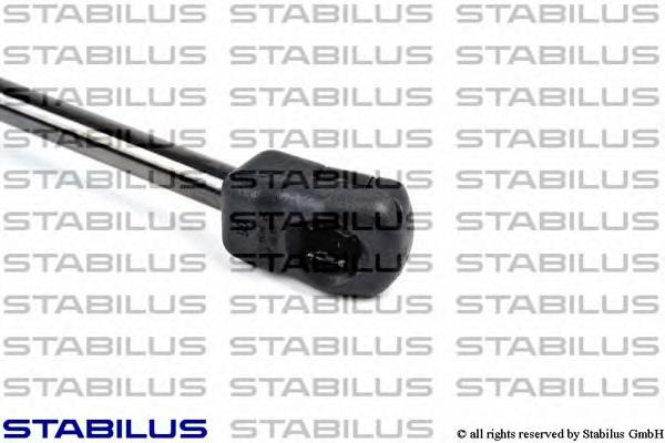 024208 Stabilus