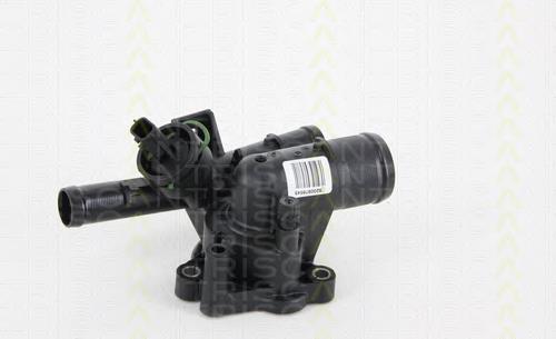 Do koszyka 1106100Q2B Nissan/Infiniti Termostat