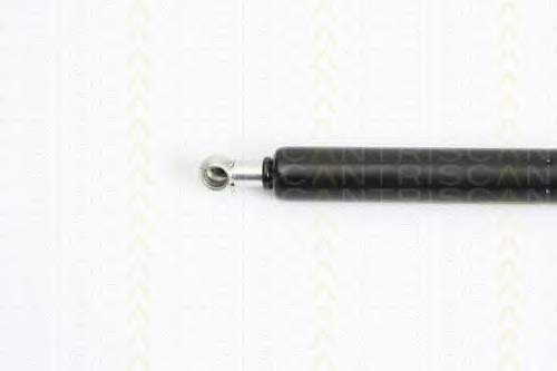Amortyzator klapy bagażnika (3/5 drzwi-tylnych) Fiat/Alfa/Lancia 50508010 cena, od 12,78 USD