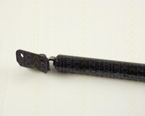 Amortyzator klapy bagażnika (3/5 drzwi-tylnych) Hyundai H100 awangarda (P) (1993 - 2004) cena, od 46,32 USD