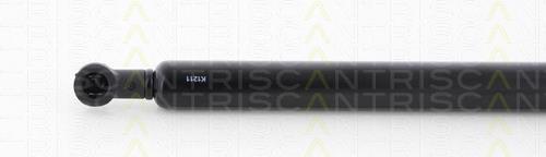 Amortyzator klapy bagażnika (3/5 drzwi-tylnych) Asam 79695 cena, od 17,18 USD