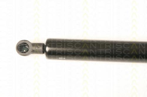 Amortyzator klapy bagażnika (3/5 drzwi-tylnych) Peugeot/Citroen 8731Q8 cena, od 15,17 USD