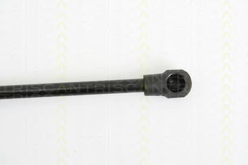 Amortyzator klapy bagażnika (3/5 drzwi-tylnych) Japan Parts ZS06093