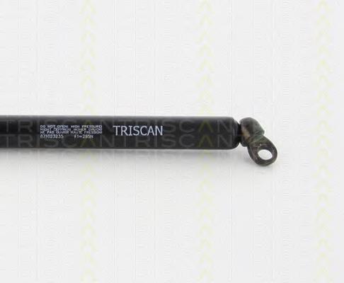 Amortyzator klapy bagażnika (3/5 drzwi-tylnych) Magneti Marelli 430719097300 cena, od 20,15 USD