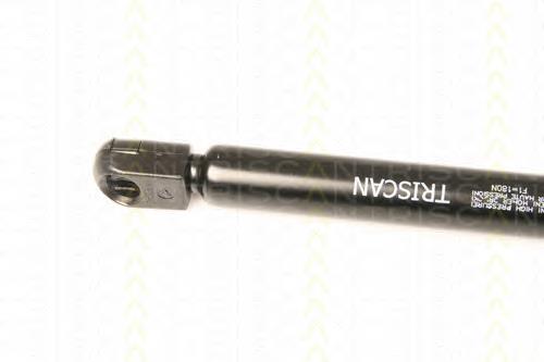 13252173 General Motors Amortyzator maski