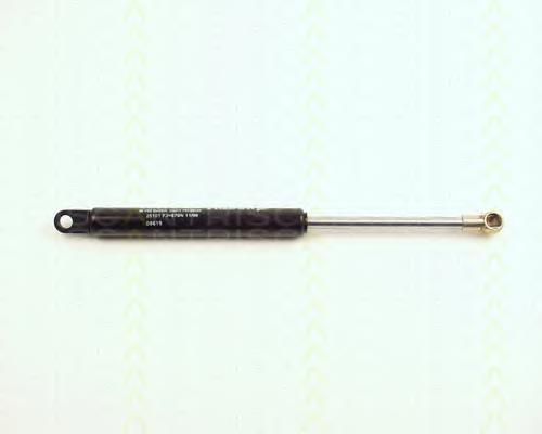 7700753540 Renault (RVI) Amortyzator maski
