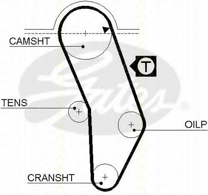 Pasek rozrządu VAG 056109119A cena, od  