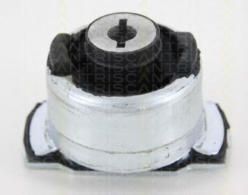 Do koszyka 50641 3RG Silentblock tylnej belki