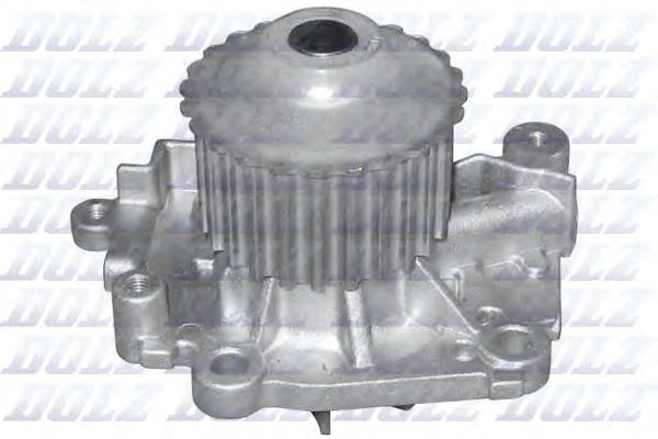 R301 Dolz