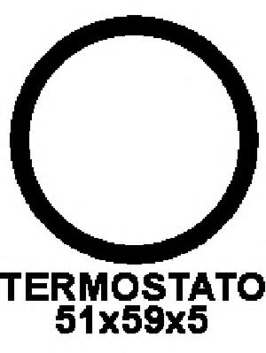 Uszczelka termostatu 00522800 Ajusa