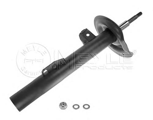 RS317564 Raiso Amortyzator przedni prawy