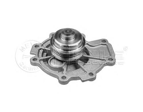Do koszyka 5191315 Ford Pompa chłodząca wodna
