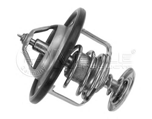 Do koszyka 17011600F3002 BYD Termostat