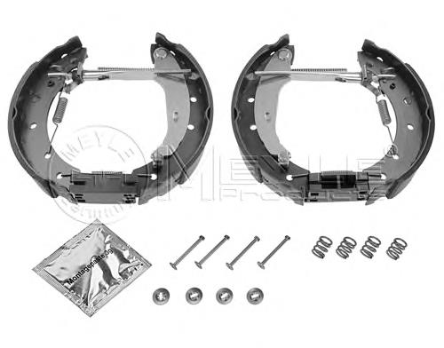 Klocki hamulcowe tylne bębnowe 6001547630 Renault (RVI)