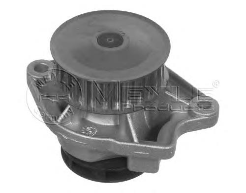Do koszyka 030121008AX VAG Pompa chłodząca wodna